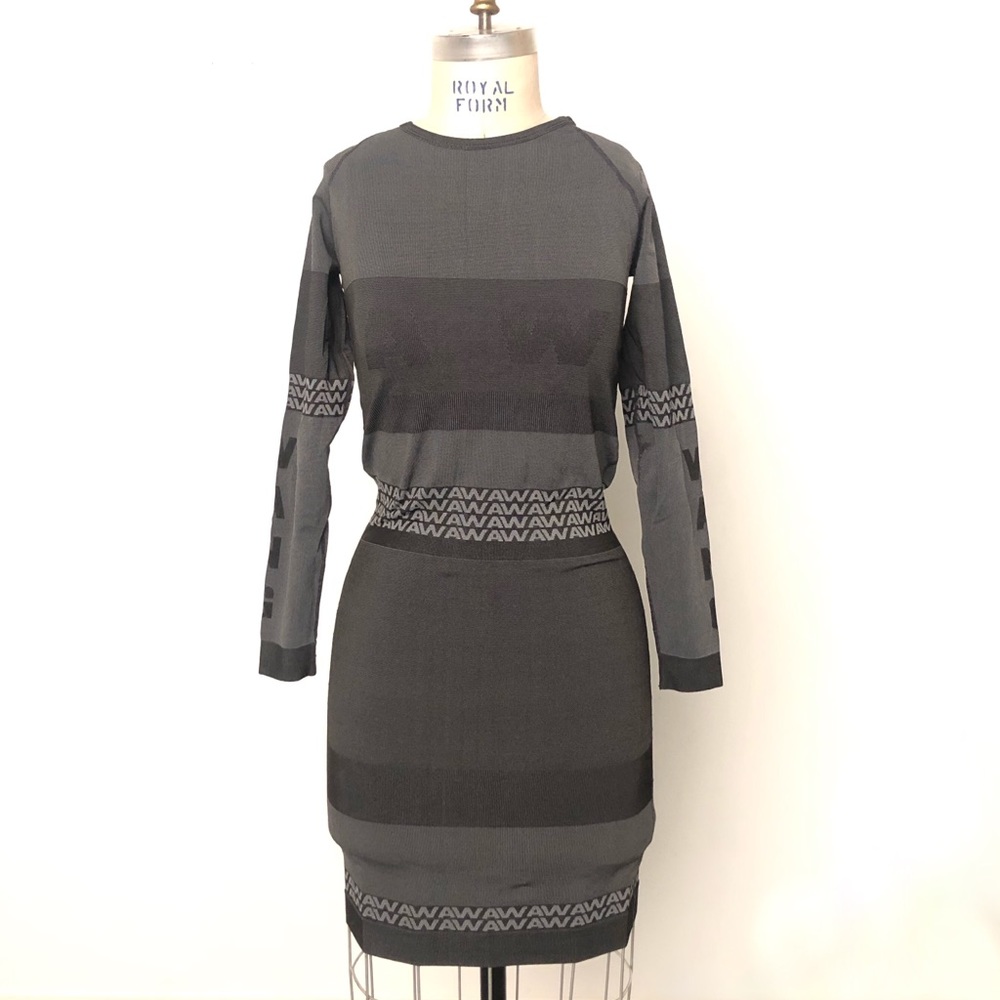 Alexander Wang x H&M Collection Dress - Picture 2 of 5